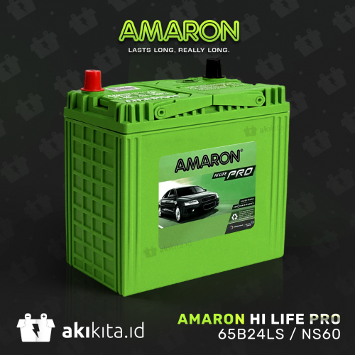 AMARON Hi-Life Pro 65B24LS