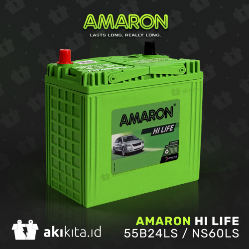 AMARON HI LIFE FLO 55B24LS