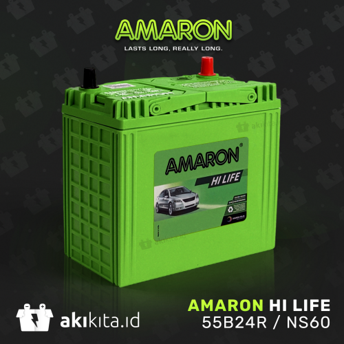 AMARON HI LIFE FLO 55B24R